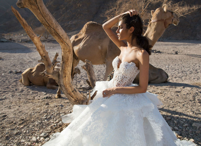 Pnina tornai 2016 2025