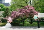 Pink Ombre Wedding in Toronto