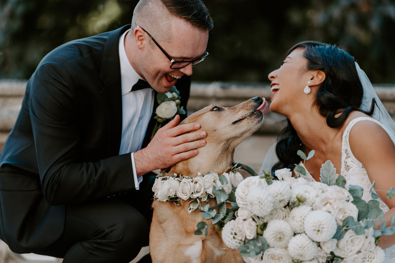 everglow-photo-Toronto-wedding-photographer everglow photo