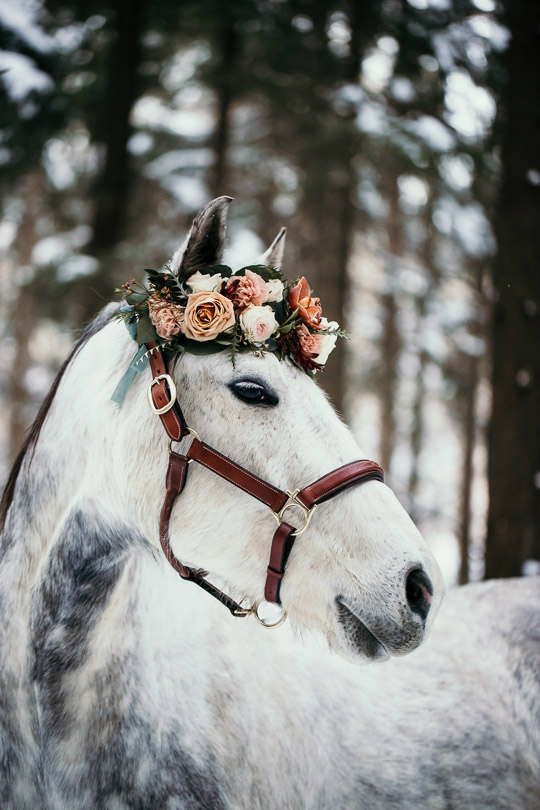 romantic equestrian wedding74 white horse