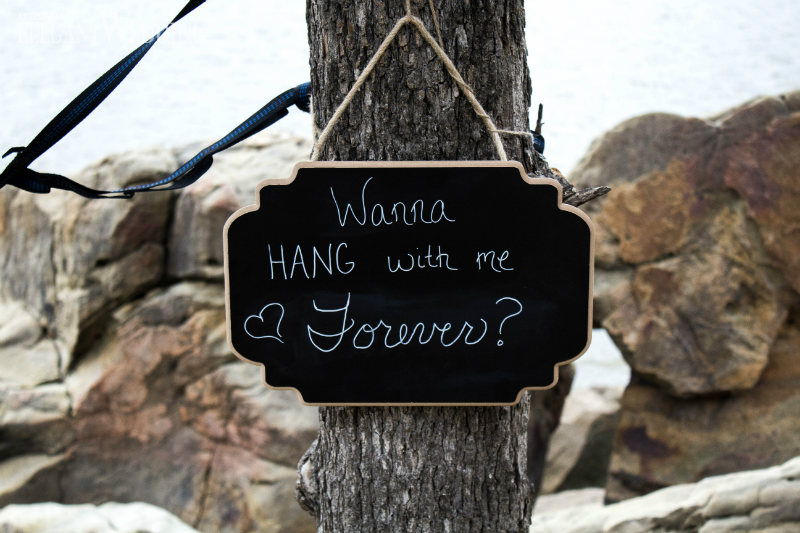 seth-reese-_51MH38MqNU-unsplash wedding proposal using nature as your backdrop signs