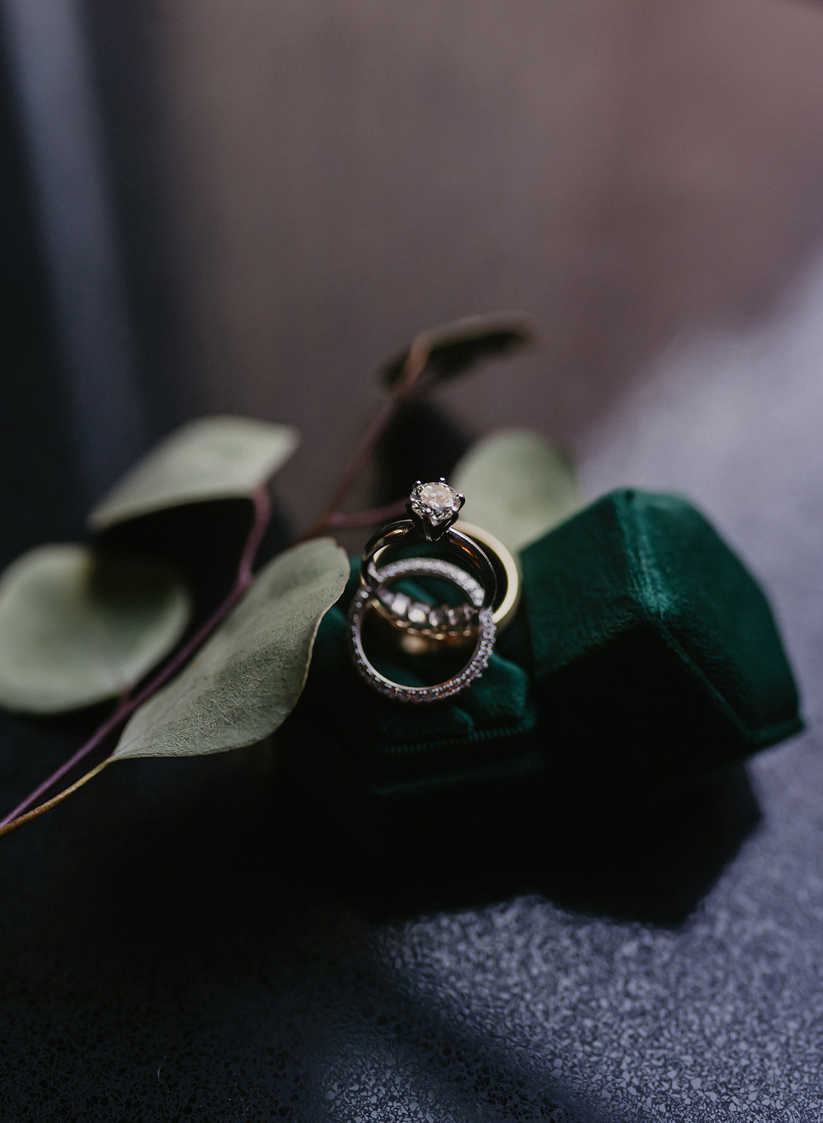 sj-objio-oqI4UQJln9k-unsplash