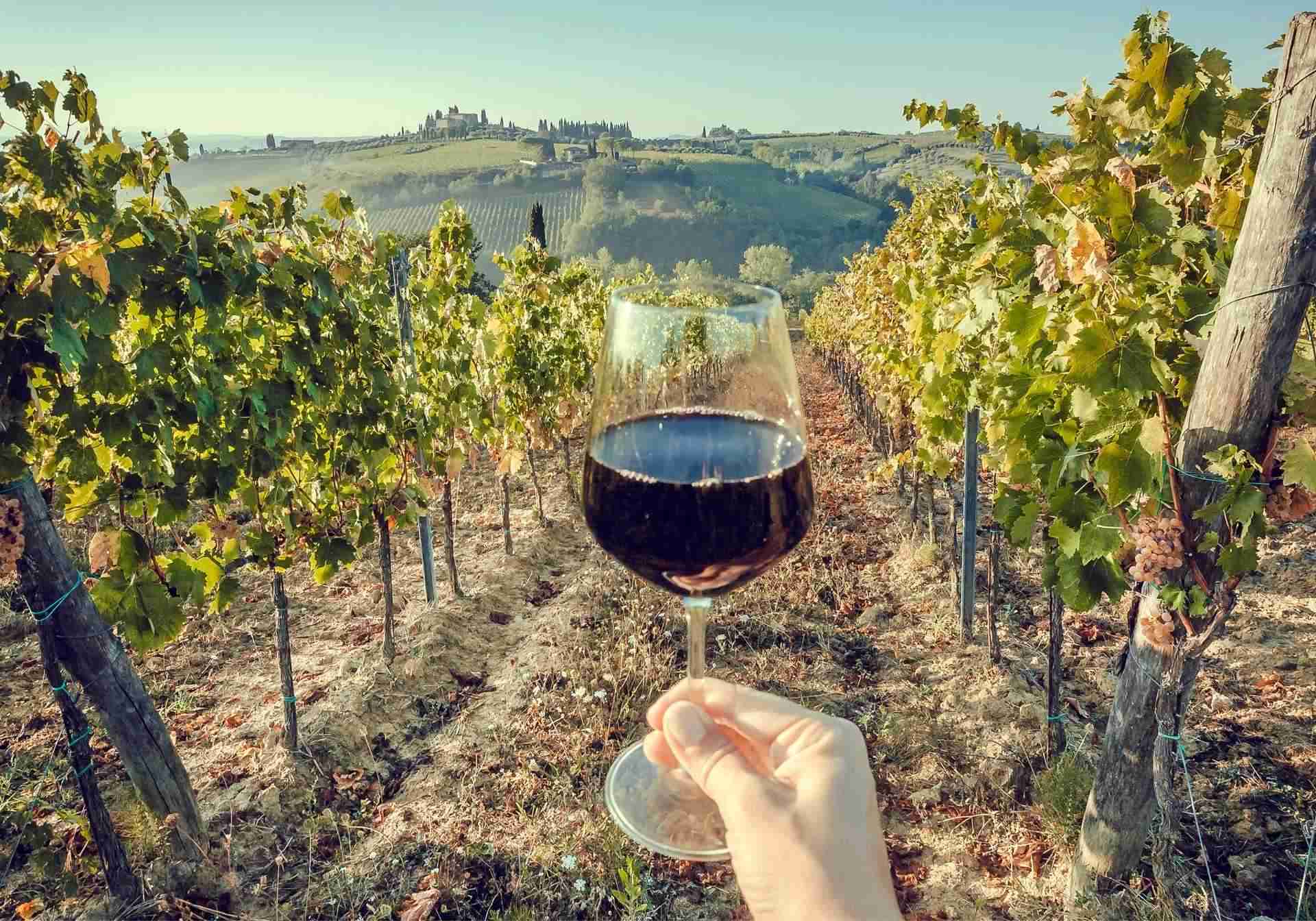 wine-grares-crete-greece crete wine