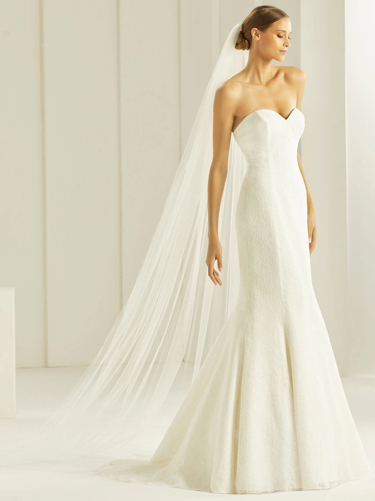 bianco-ivory-plain-single-tier-cathedral-veil-with-cut-edge-s261-8253 wedding dress shoes shopping