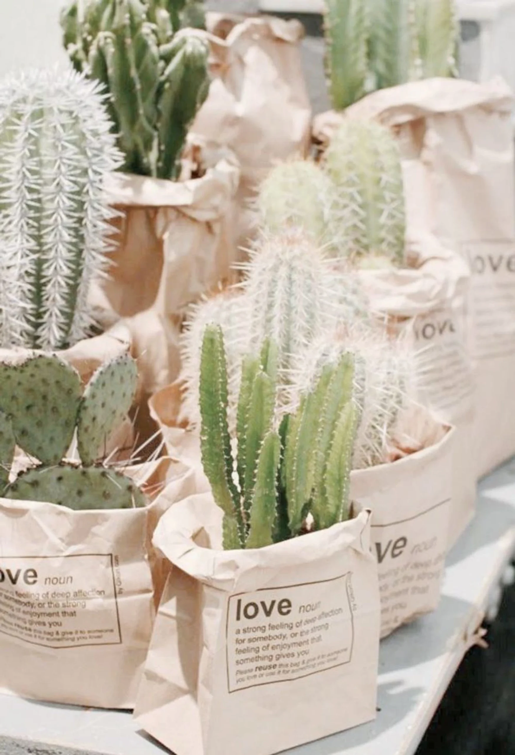 love-stamped-cactus green wedding favors