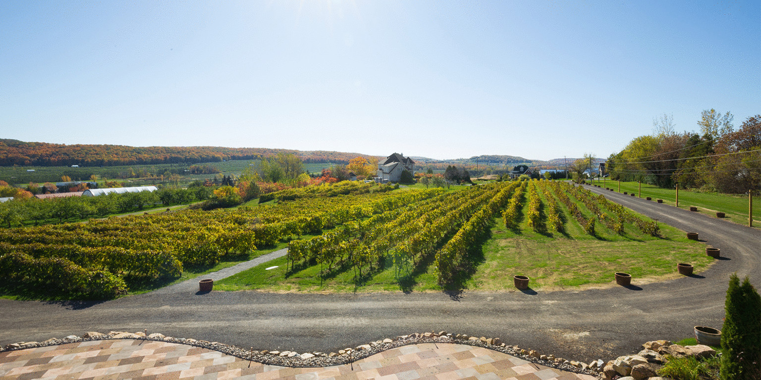 la bullerie vinyard Discover La Bullerie: A Hidden Gem for Unforgettable Experiences