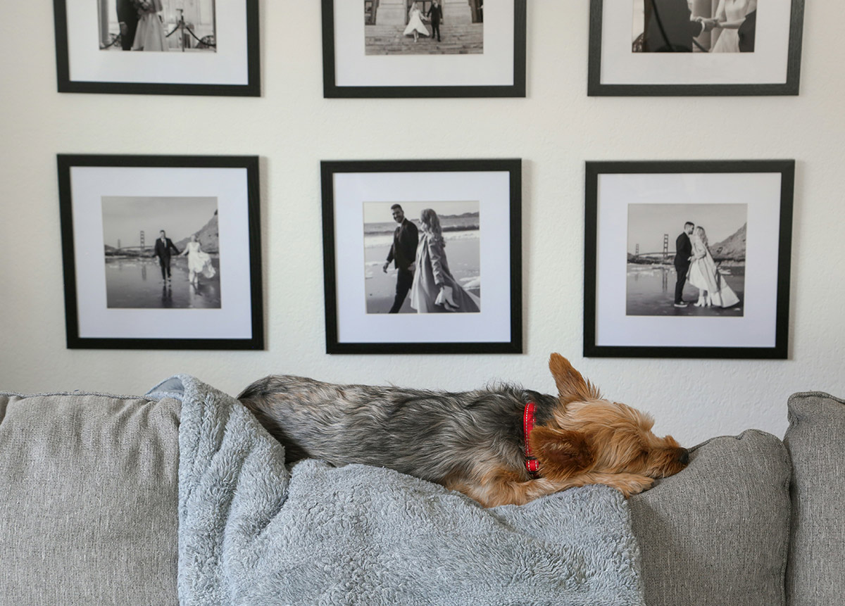 giorgio-trovato-jwxhEm9CPo4-unsplash canvas wall art turn your wedding prints into artwork